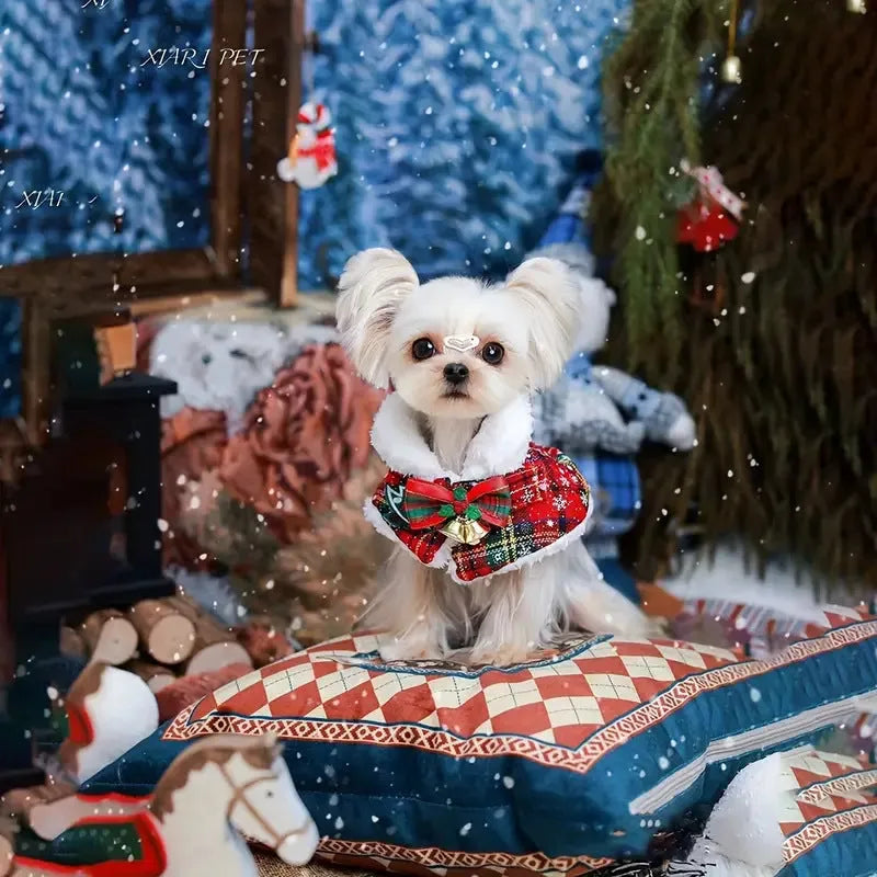 Red festive pet cloak with bell design draped on a small dog, showing integrated scarf.