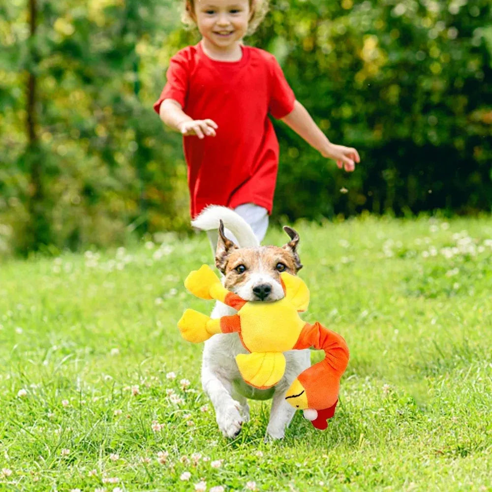 Screaming chicken sound dog toy in black, green and orange colours