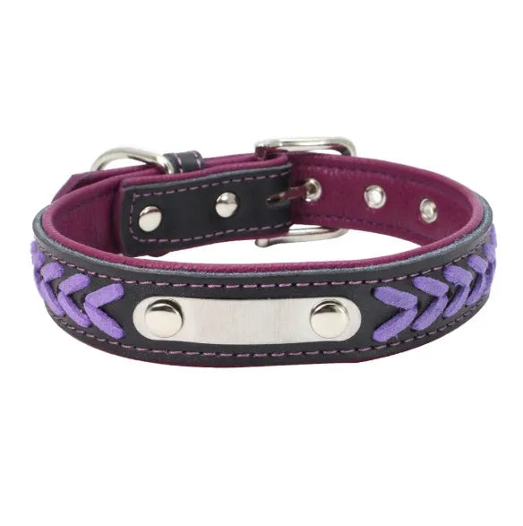 Stainless steel iron dog collar with laser lettering on genuine leather strap, available in blue, pink, purple, red and yellow