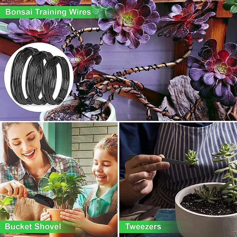 24-piece stainless steel bonsai tool set for potted plant pruning and maintenance