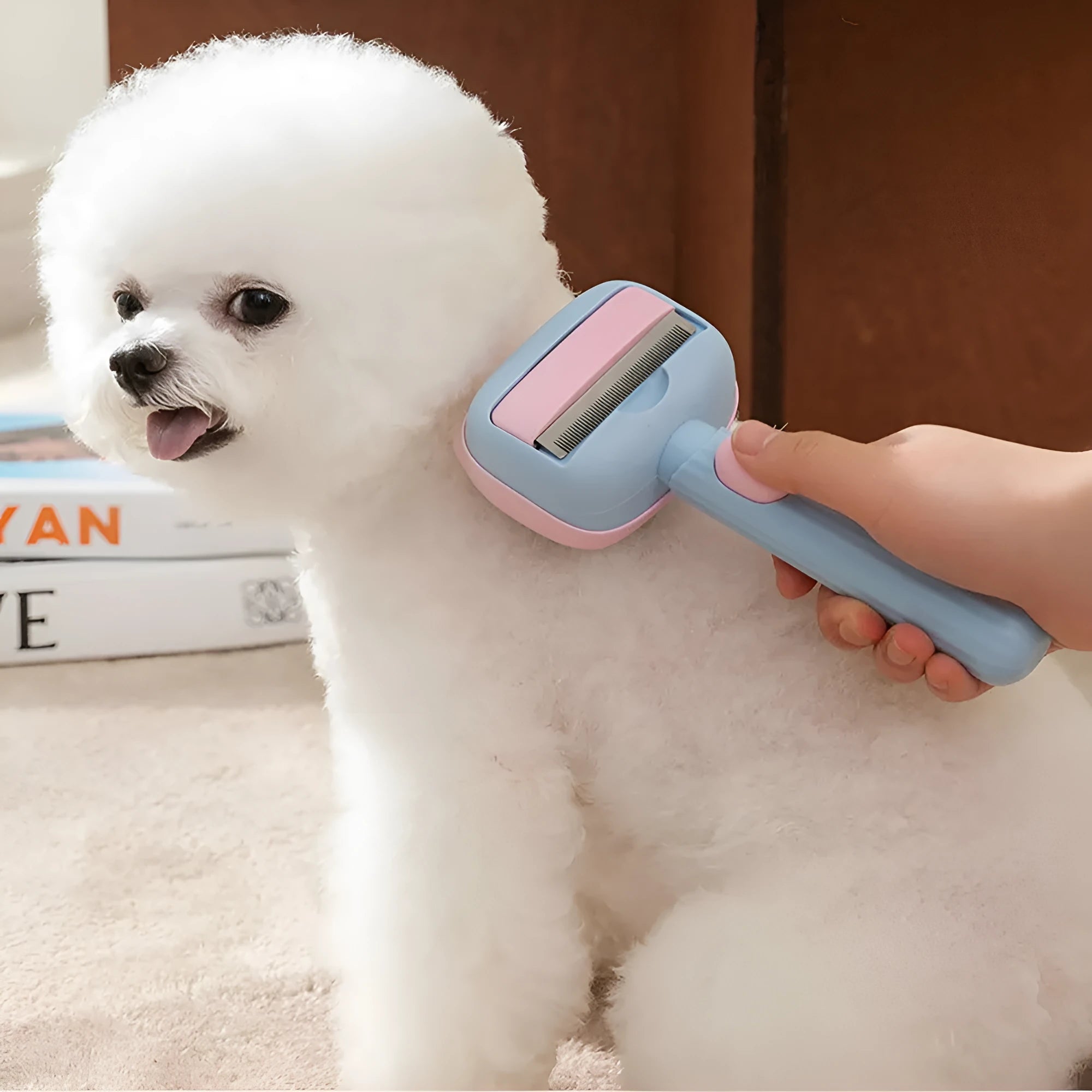 Blue and green double-sided pet grooming brush with deshedding rake and dematting comb on a white background.