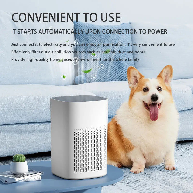 Simple style desktop air purifier with USB power connection for small rooms