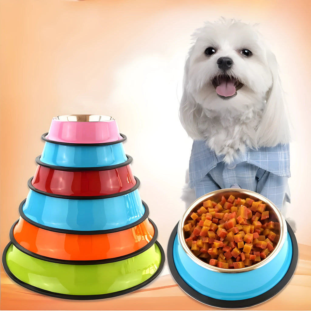 Stainless steel and colourful melamine dual-piece pet bowl with non-slip rubber base.