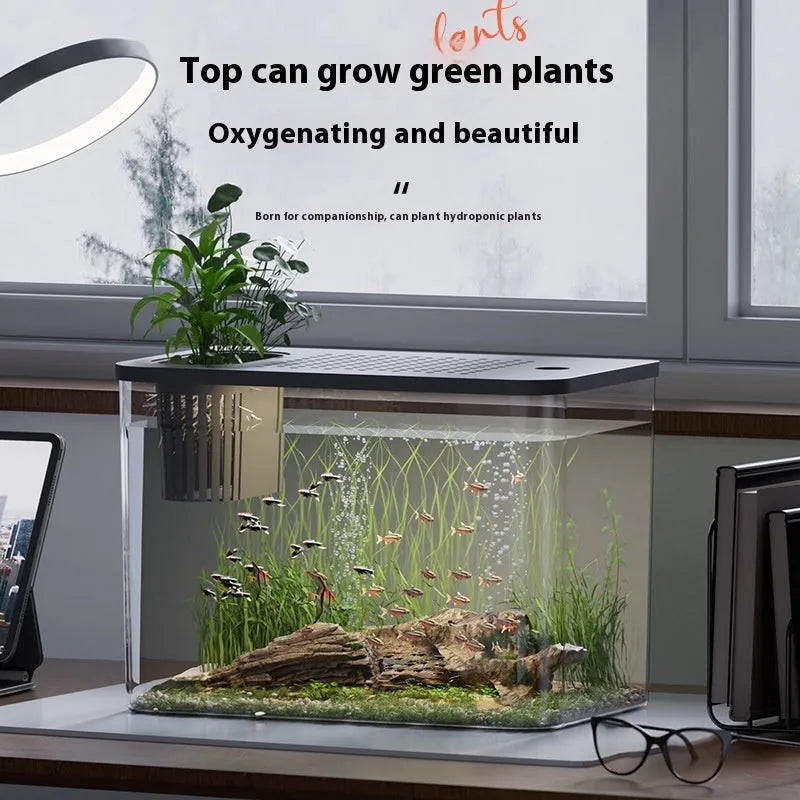 Black and white mini plastic betta fish tanks with clear covers, showing dimensions of 32cm by 18.5cm.