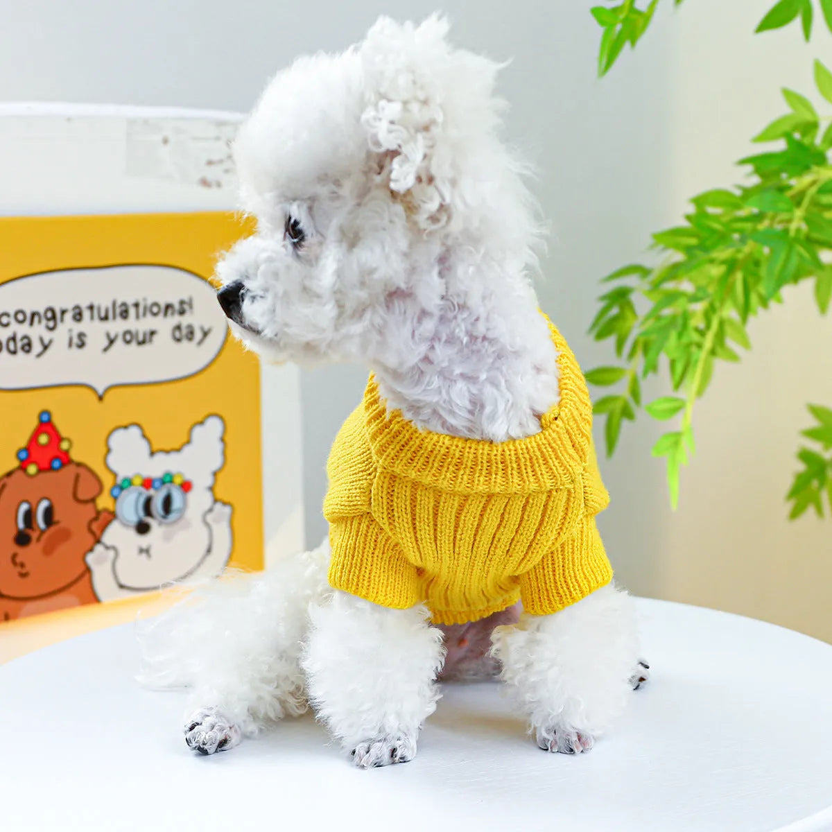 Green and yellow polyester dinosaur dog sweater for small to large dogs, sizes XS to XL