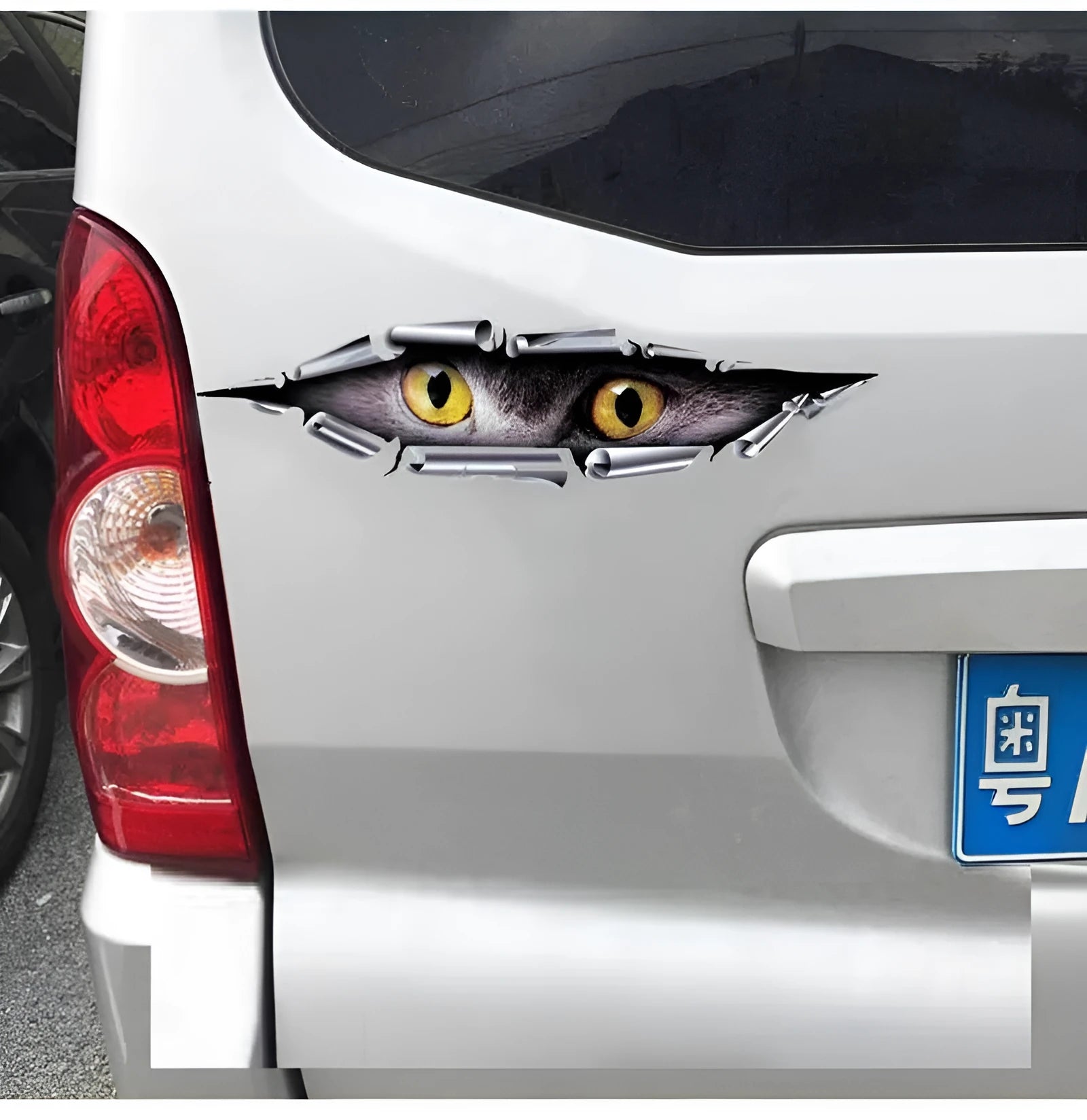 Tiger Eye Eagle Eye 3D car bumper sticker on transparent PVC, 10 cm by 35 cm.