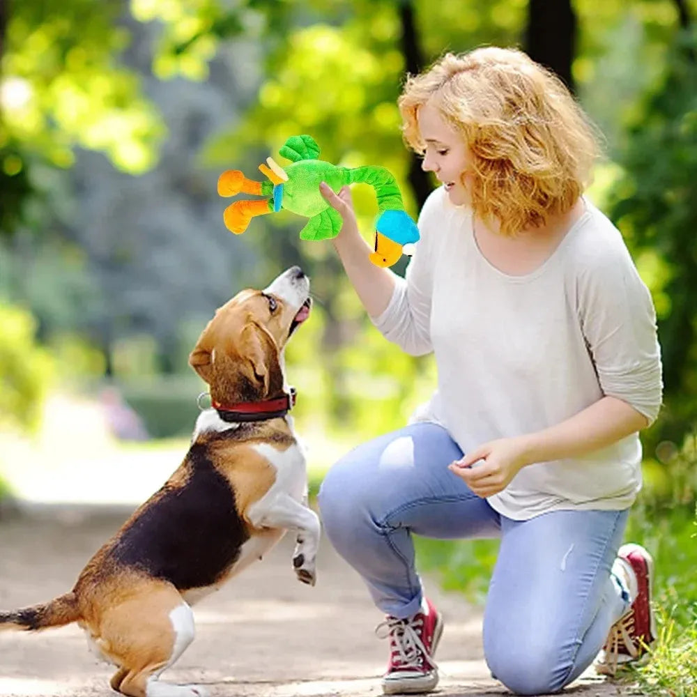 Screaming chicken sound dog toy in black, green and orange colours