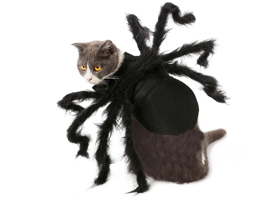 Black plush pet spider costume for dogs and cats, available in sizes S and M