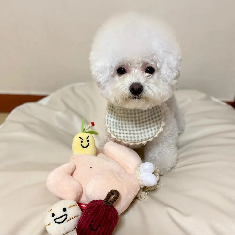 Cartoon plush chicken dog toy with removable jujube and ginseng sound parts plus teething rope on white background