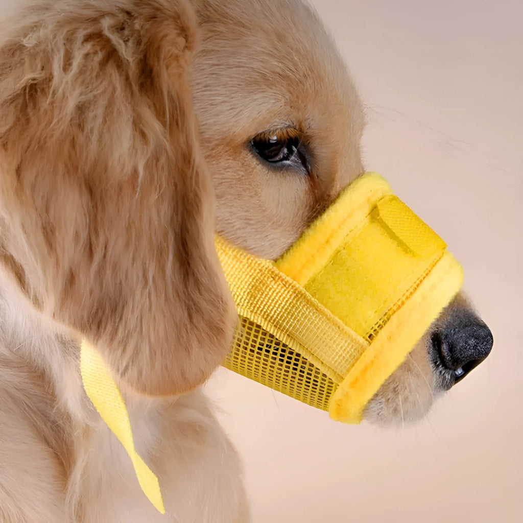 Adjustable dog muzzle mask in canvas and breathable mesh with Velcro straps and ABS grip, available in multiple colours and sizes XS to XXL.