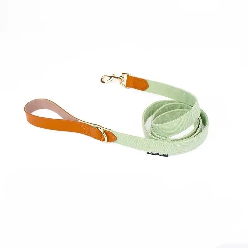 Dog bowknot collar and hand holding rope set in cream green