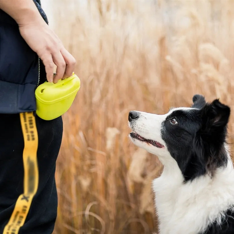 Silicone dog treat bag with belt clip shown in multiple colours