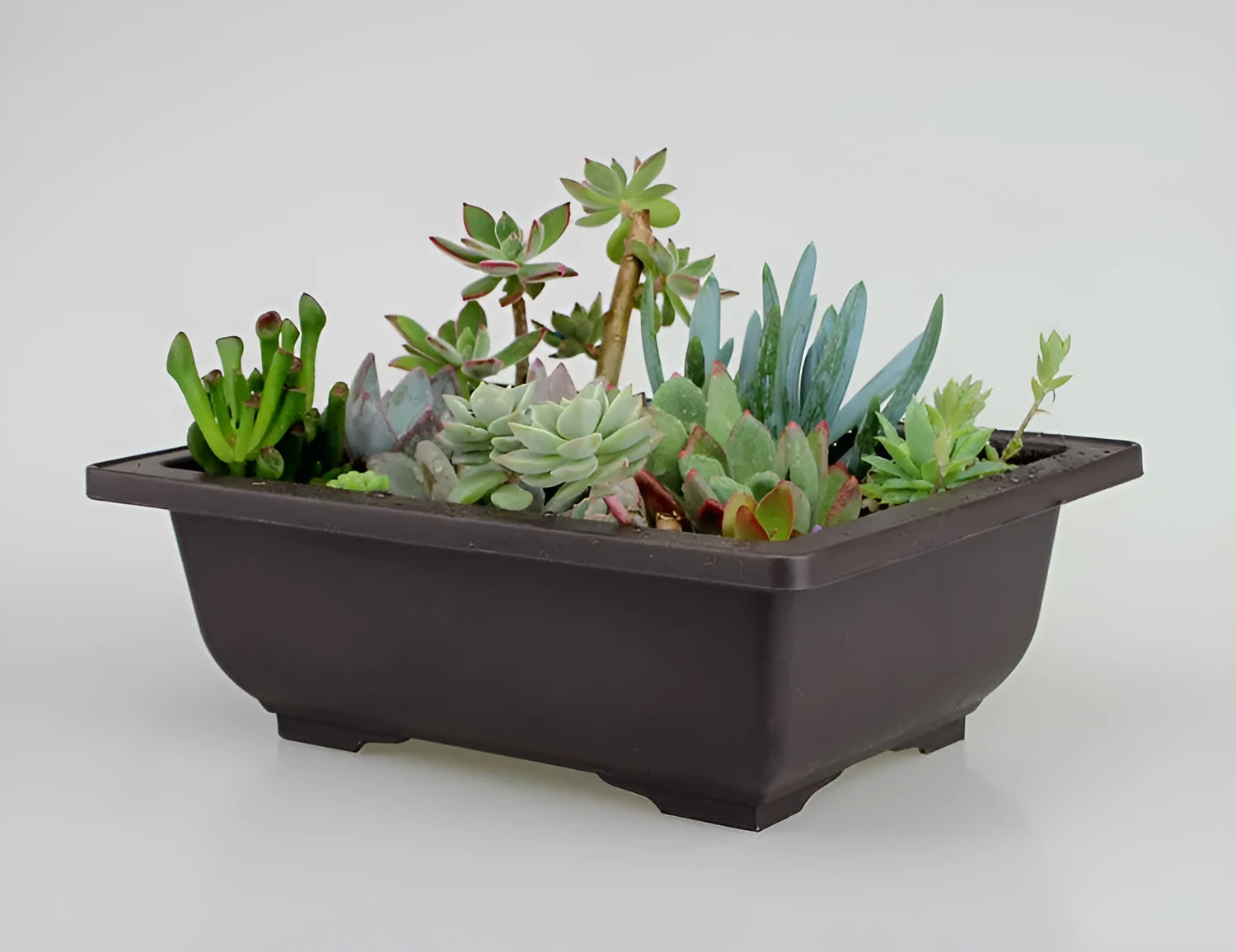 Dark brown antique-style recycled plastic plant pot, shown in a selection of sizes for desktop or floor use.