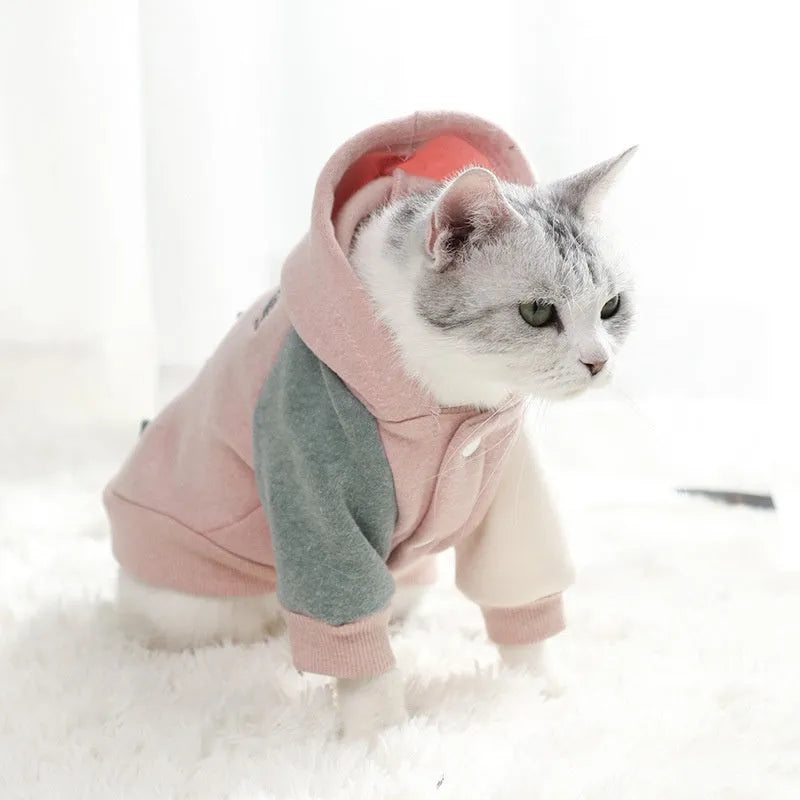 A brown cotton sweatshirt for a dog, showing a leisure-style pet garment.