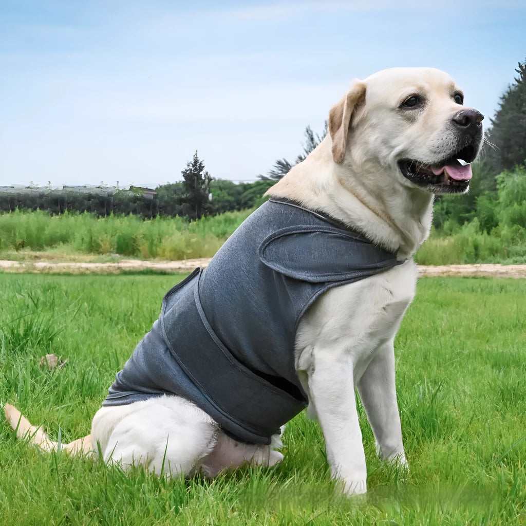 Dog wearing brown anxiety relief tank top made from brocade cotton fabric