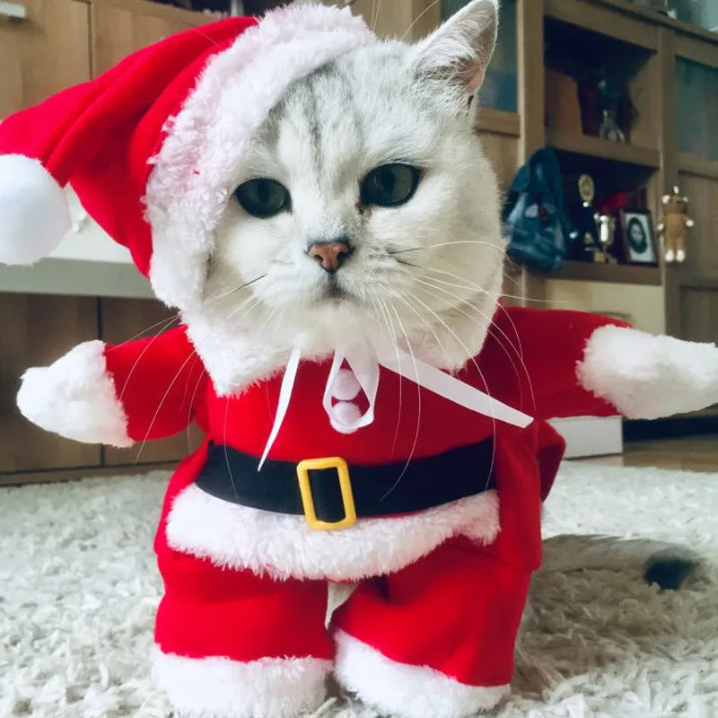 Cat wearing a nun cloak polyester pet costume in 099# nun colour, Halloween decoration