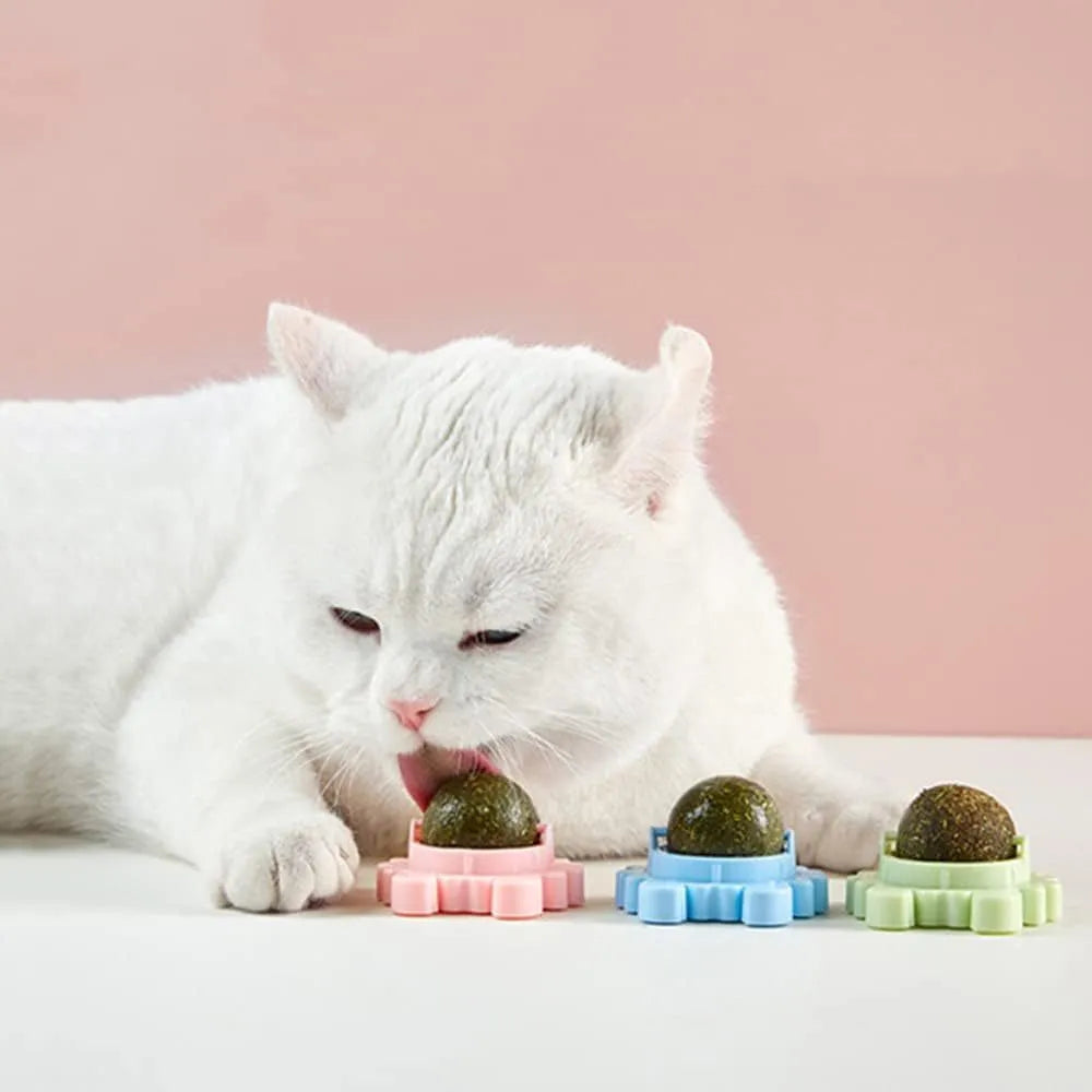 Catnip wall ball toy with three removable catnip balls in a wall-mounted rotatable holder, shown in Blue, Green and Pink.