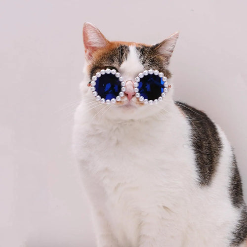 Round pearl-rimmed sunglasses for a cat or dog, shown in multiple colours including black, blue, and orange.
