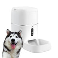 White smart pet automatic feeder with voice and video versions, ABS material, 207x207x339mm package size, 220V US