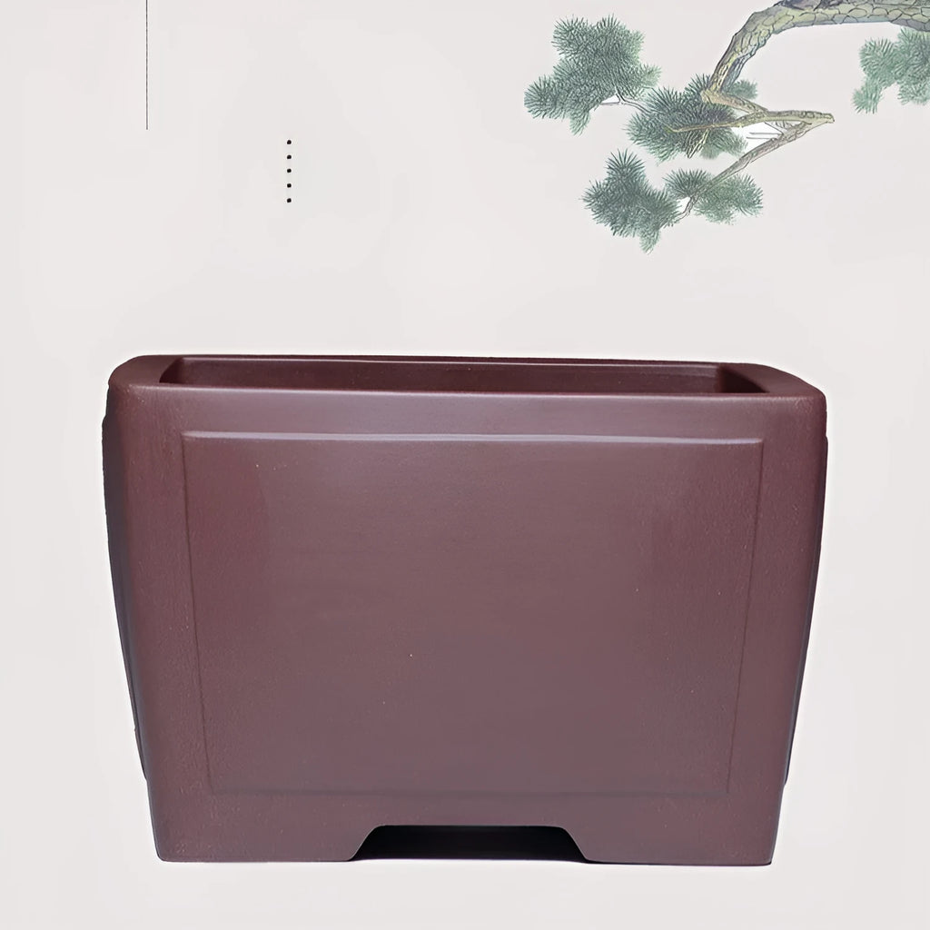 Square purple clay succulent bonsai pot in classical design for tabletop or floor plant display