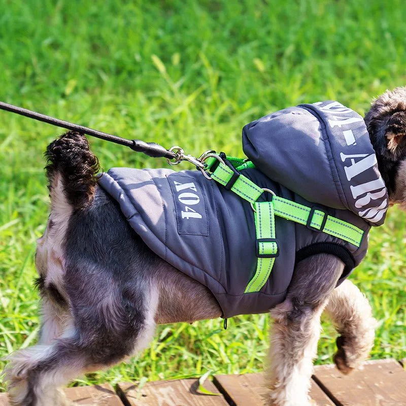 Red fleece-lined waterproof winter jacket for a dog on a grey background, showing hood and casual fit.