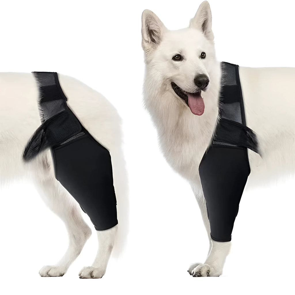 Dog leg support protector made of diving cloth and mesh with adjustable Velcro strap, shown on a dog's leg.