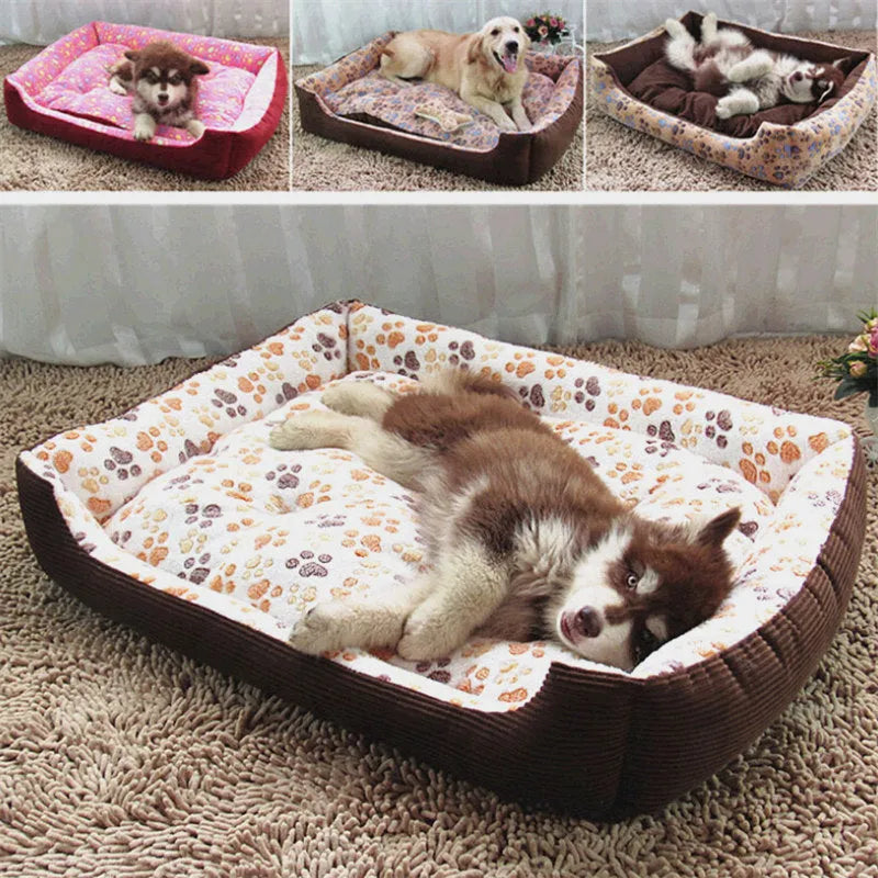 Beige plush sofa dog bed with raised rim for a small dog, showing non-slip base.
