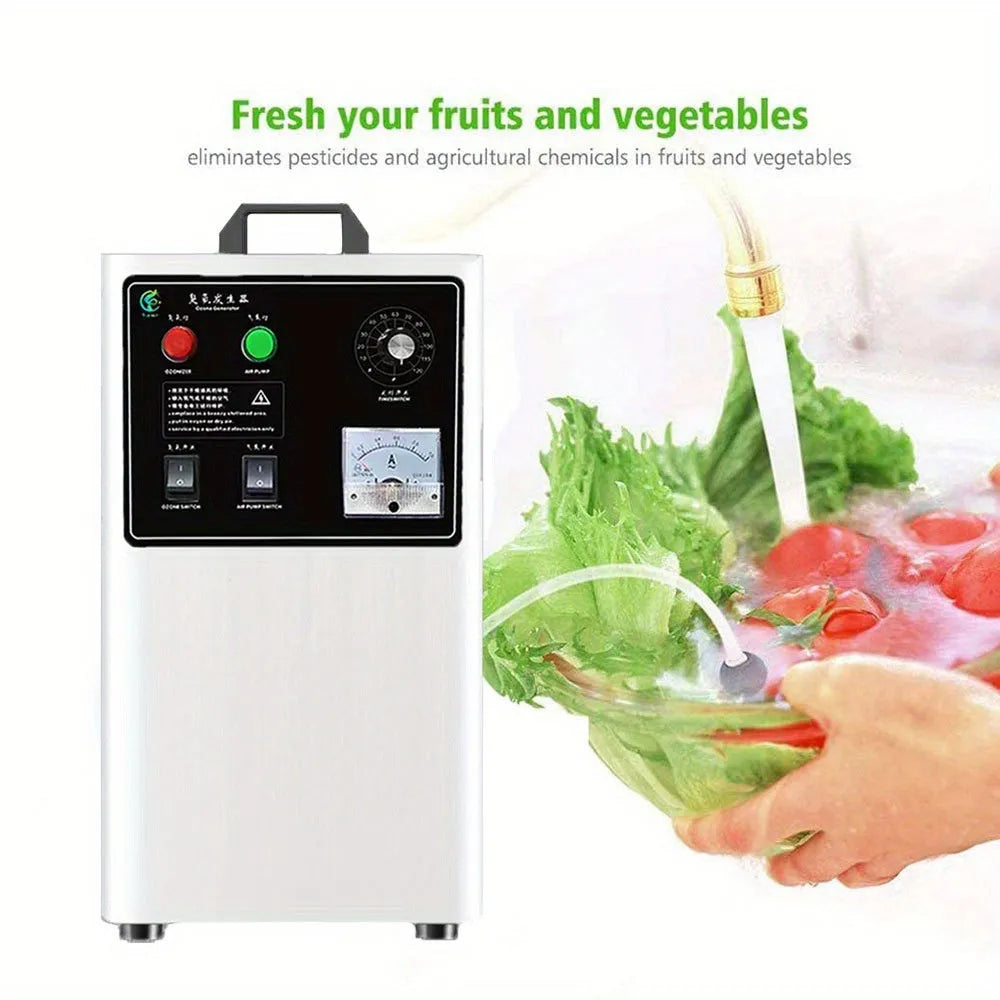 White and stainless steel ozone generator for cleaning fruit and vegetables with 20g per hour output