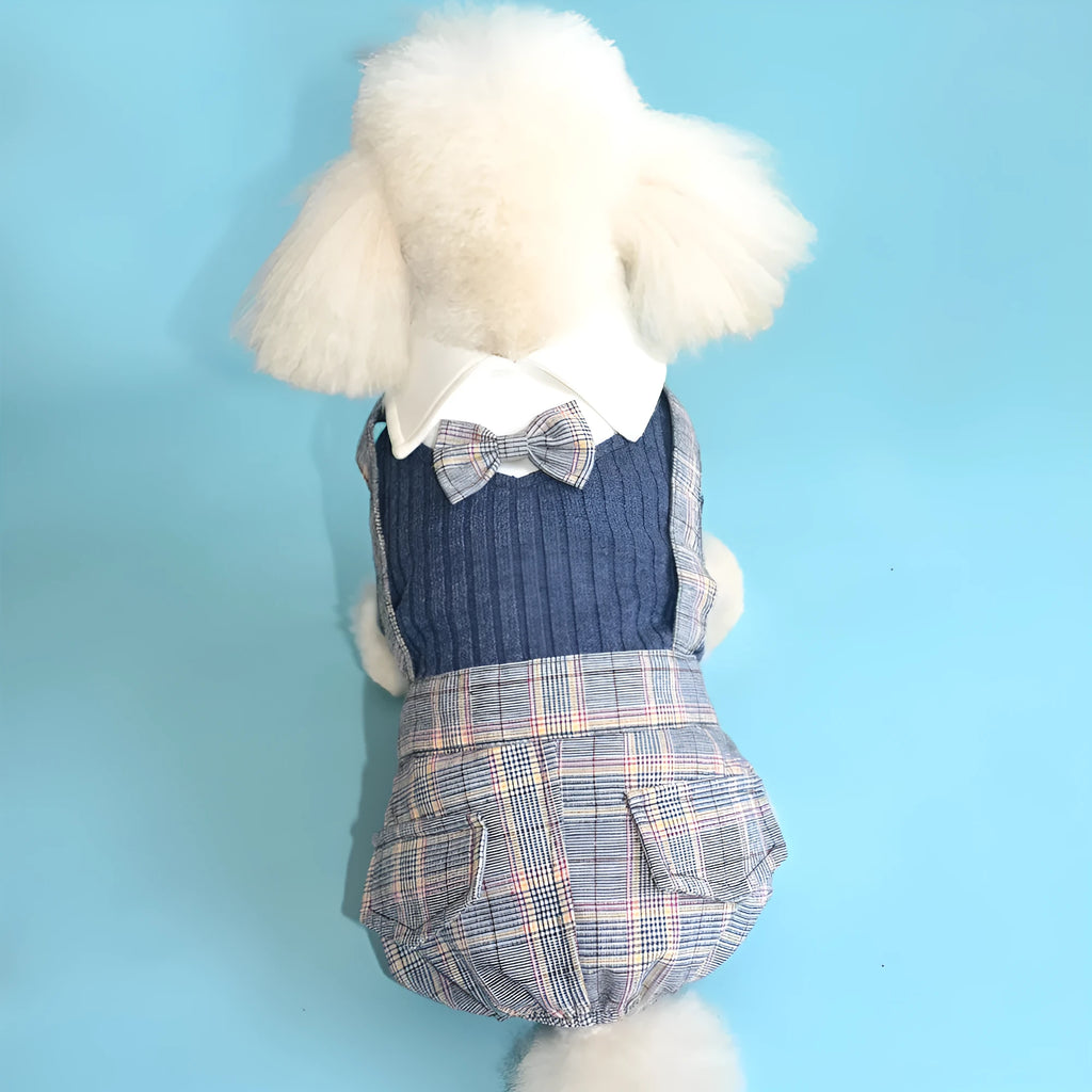 Cotton dog shirt suit in dark blue or orange colour for small to extra-large pets