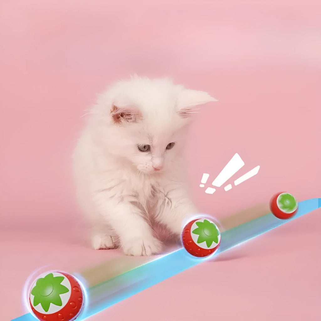 Self-Hi Relieving Stuffy Electric Cat Pet Toy strawberry rolling ball in green colour with ABS silicone surface