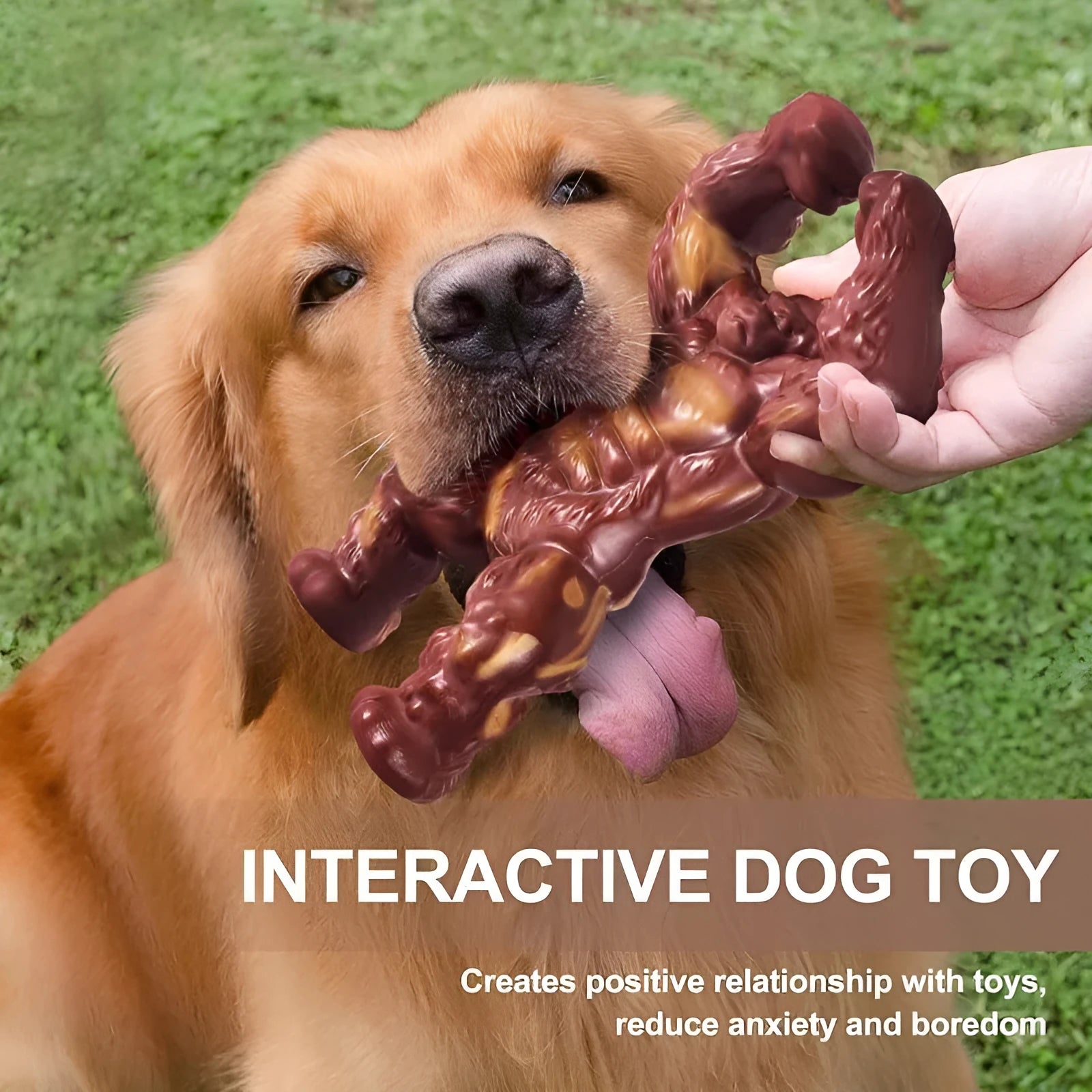 Scarlet beef-flavoured nylon dog chew toy with textured surface for dental cleaning