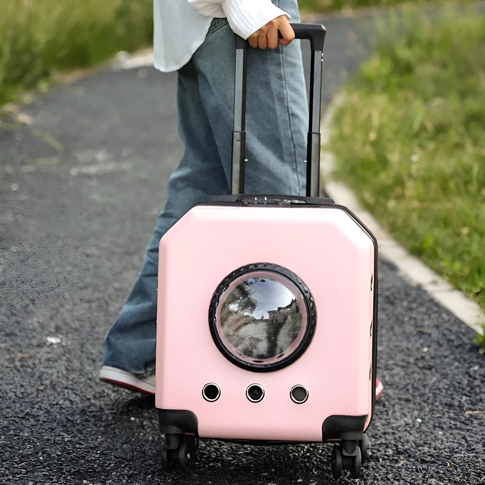 PVC hard-shell pet flight case with trolley handle in solid colour options for airline travel