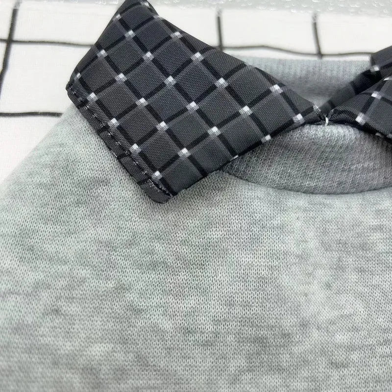 Grey dog wearing thin velvet sweater with detachable collar hood