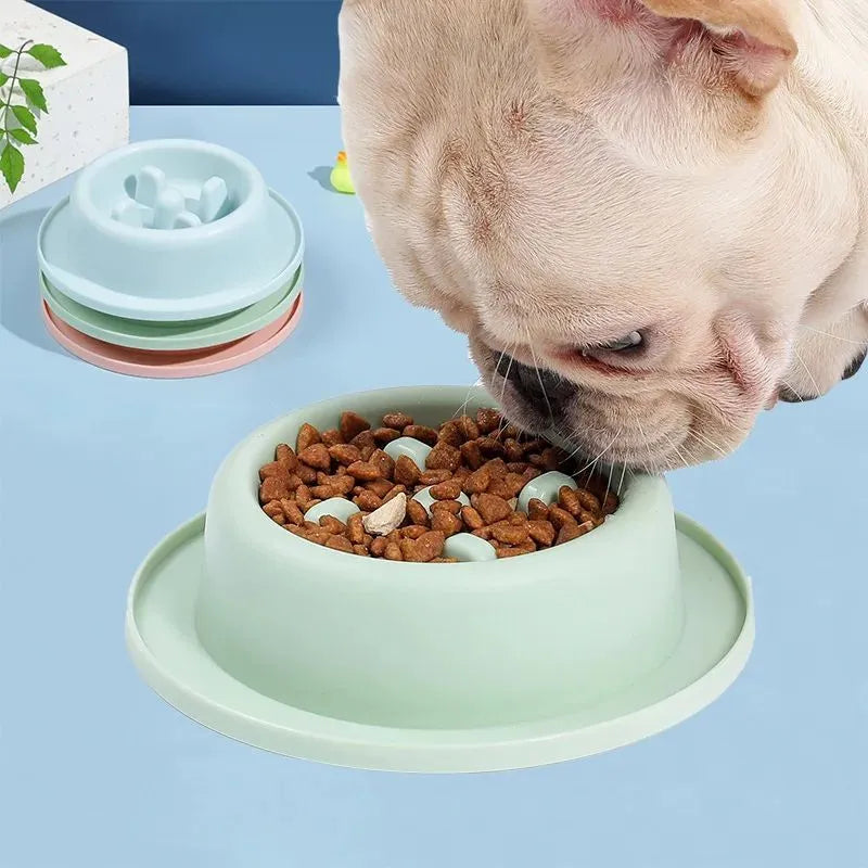 Pet slow eating feeder bowl in blue PP plastic with raised internal sections and non-slip base