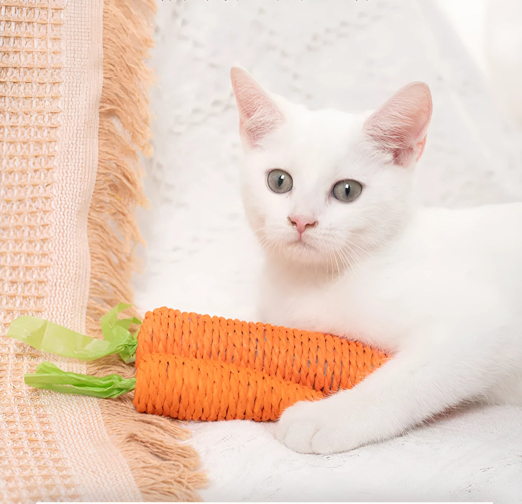 Bundle of cat toys including carrot chews, paper toys, ringing stones, sticks, and grinding sticks in S and L sizes.