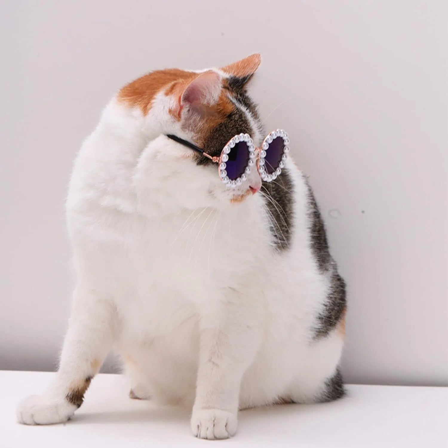 Round pearl-rimmed sunglasses for a cat or dog, shown in multiple colours including black, blue, and orange.