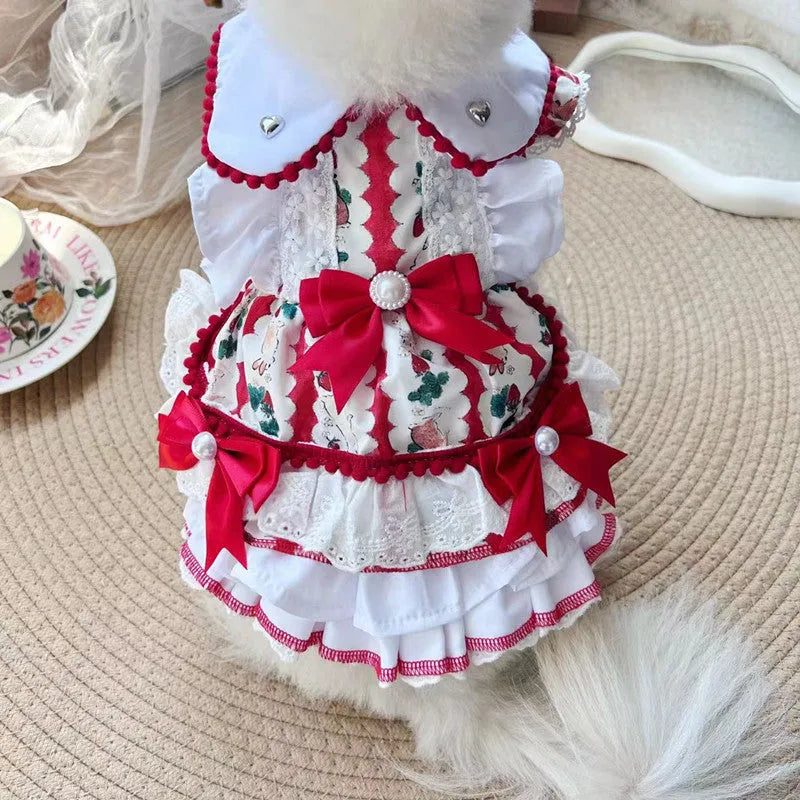 A small white dog wearing a blue and white rabbit print skirt, showcasing the princess-style pet clothing.