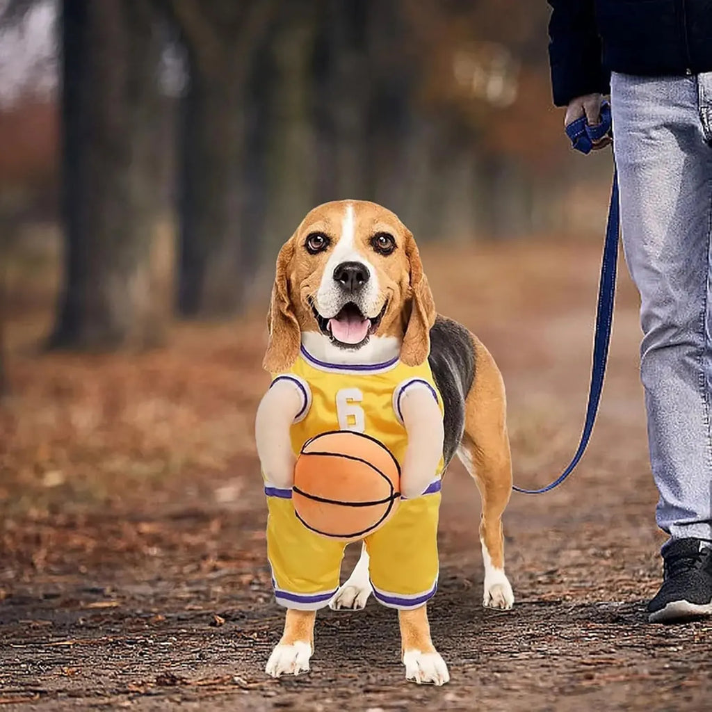 Small dog wearing red basketball player costume with padded arms and a bouncing basketball accessory