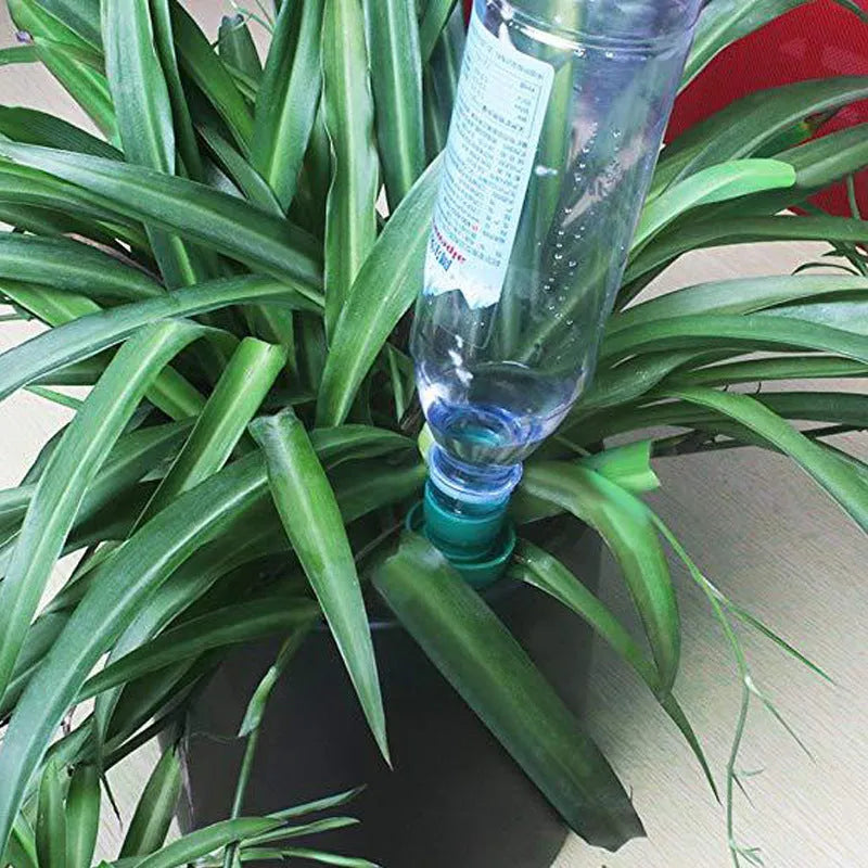 Green ceramic plant dripper for attachment to a cola bottle for automatic flower watering.