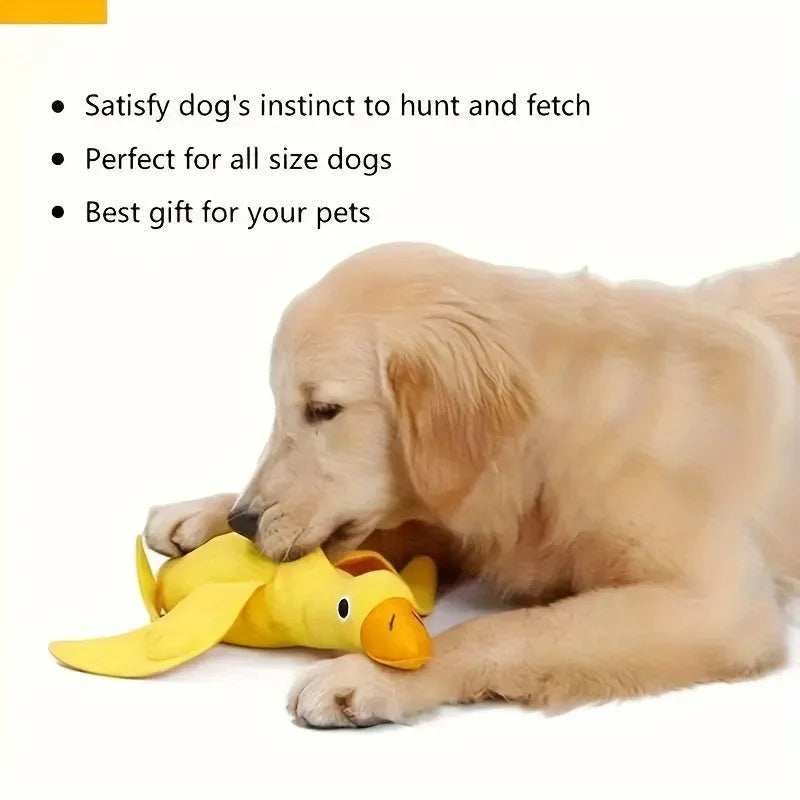 Yellow plush duck dog training toy with a squeaker and treat compartments on a white background.