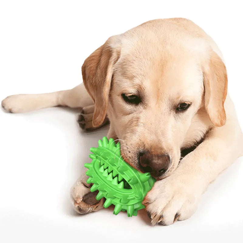 Green cactus-shaped dog chew toy for dental cleaning on a white background