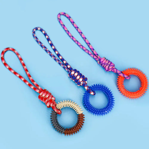 Colourful braided rope dog toy with knots, 43 cm long, for puppies and small dogs