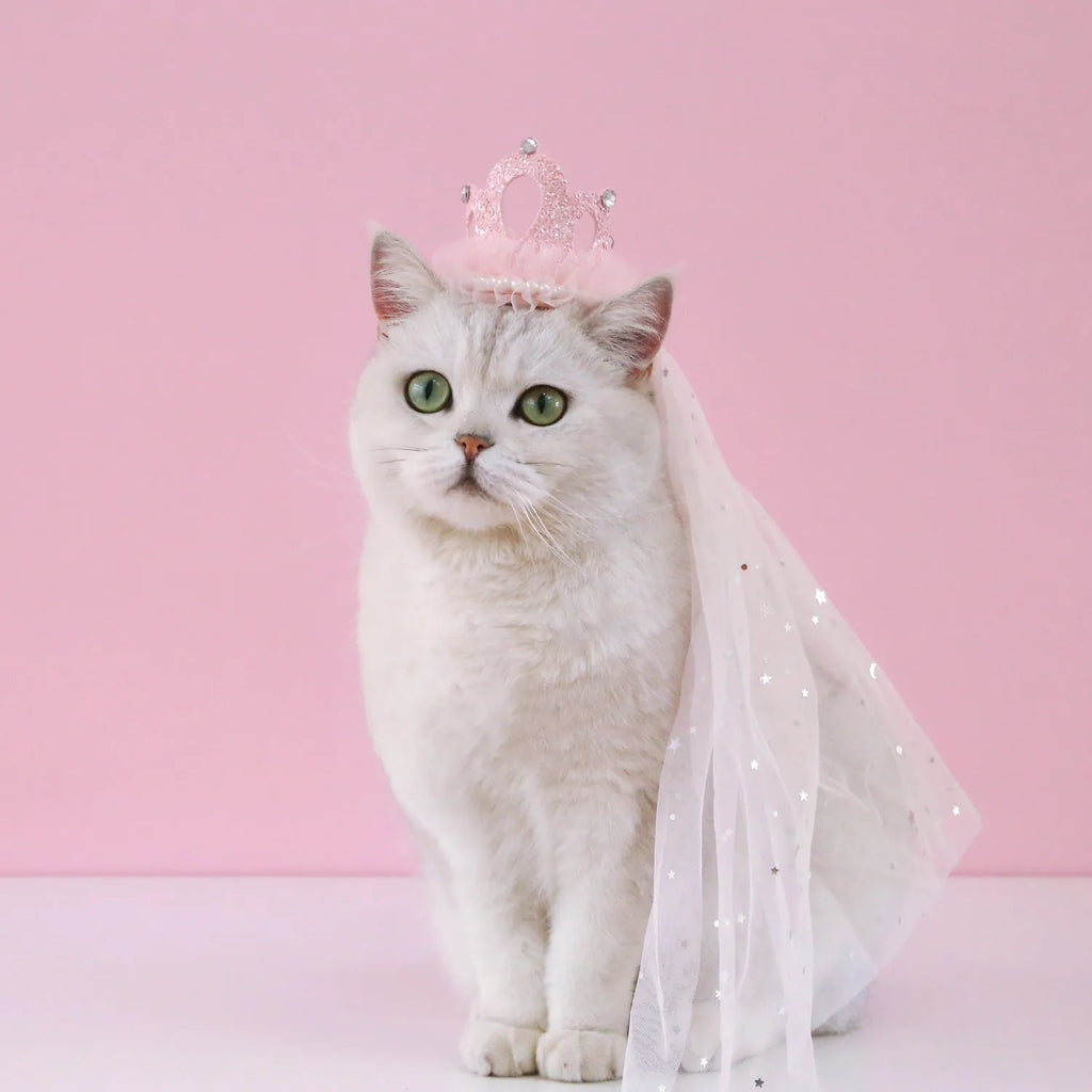 Pet cat wearing a white princess crown headdress with a beige veil accessory.