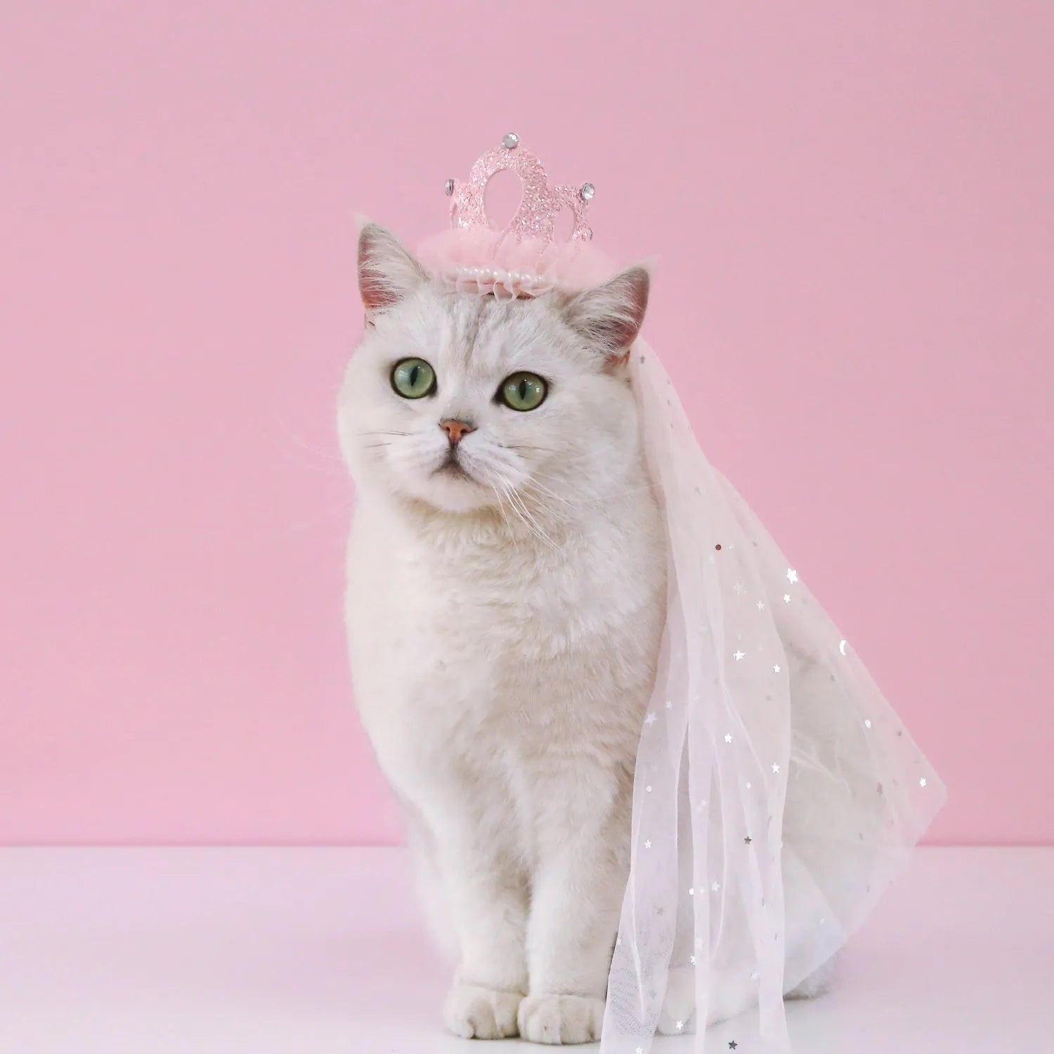 Pet cat wearing a white princess crown headdress with a beige veil accessory.