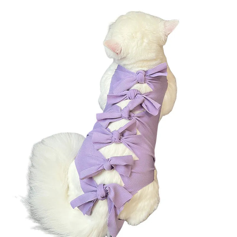 Lace-up cat sterilisation recovery suit in blue, shown on a cat, with back ties and tail hole visible.