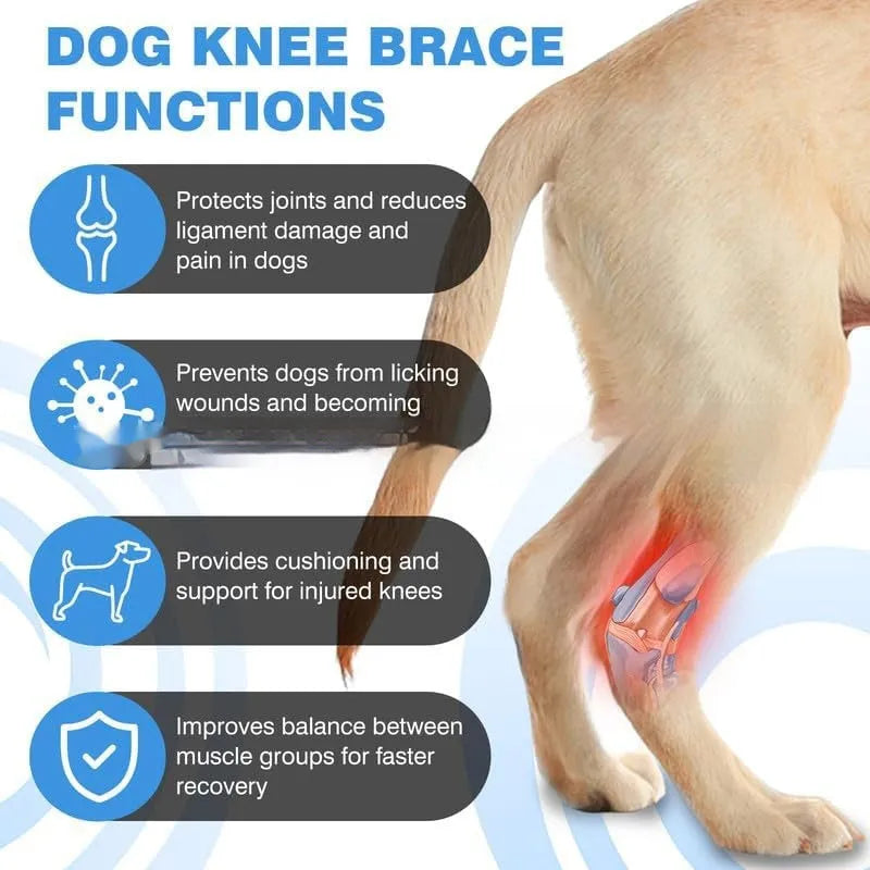 Black polyester pet leg guard for dog ACL support or cat joint protection.