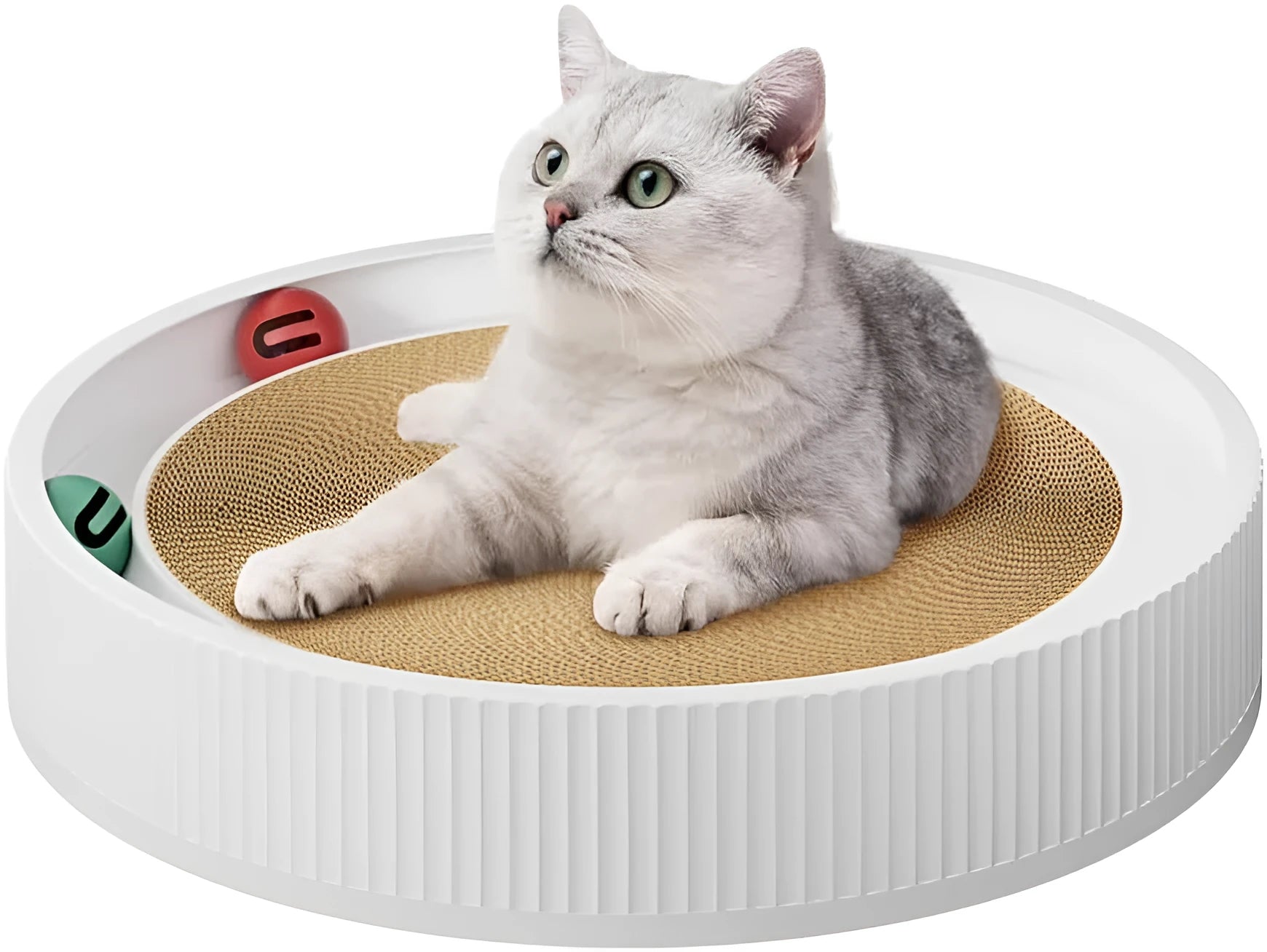 Large circular cat scratching board with ball track and spring plush ball