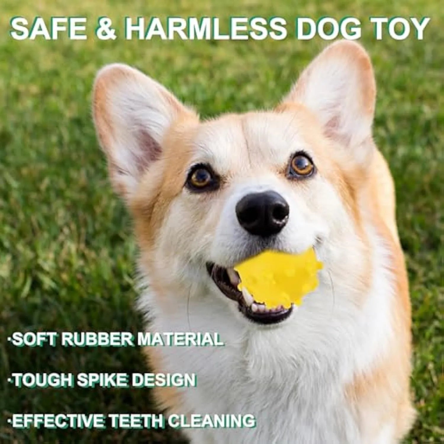 Bright blue, green, pink, and yellow spiked squeaky dog toy balls on a grass lawn.
