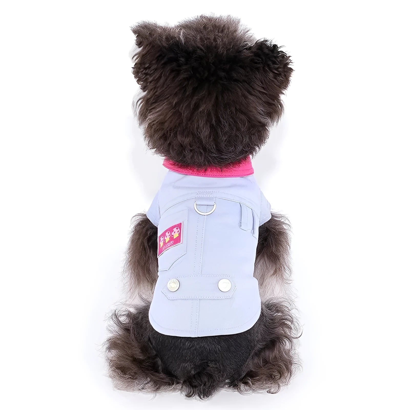 Blue and purple polyester mesh dog vest with rope rings for small breed dogs