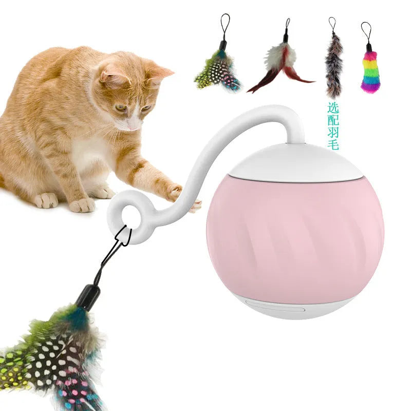 Electric luminous cat toy ball in watermelon green and pink or pumpkin orange and black colour designs